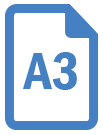 A3