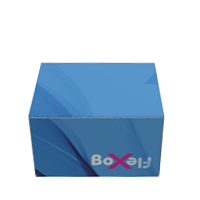 Non-glue box with lock